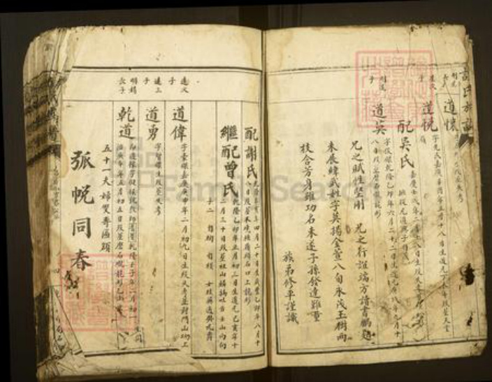 湖南省郴州市资兴市谭氏族谱-谭氏族谱.pdf电子版插图4