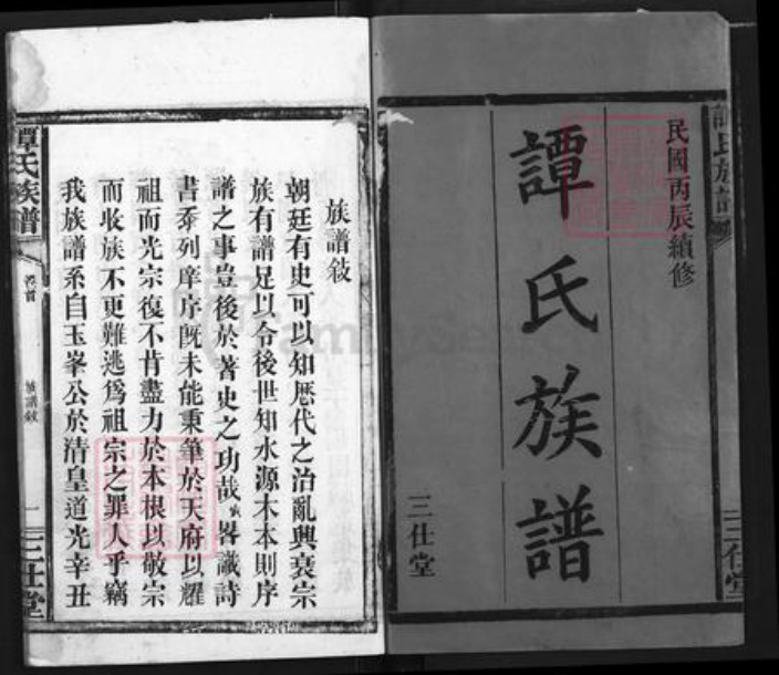 湖北省荆州市公安县南平镇谭氏三仕堂族谱-谭氏族谱.pdf电子版插图1