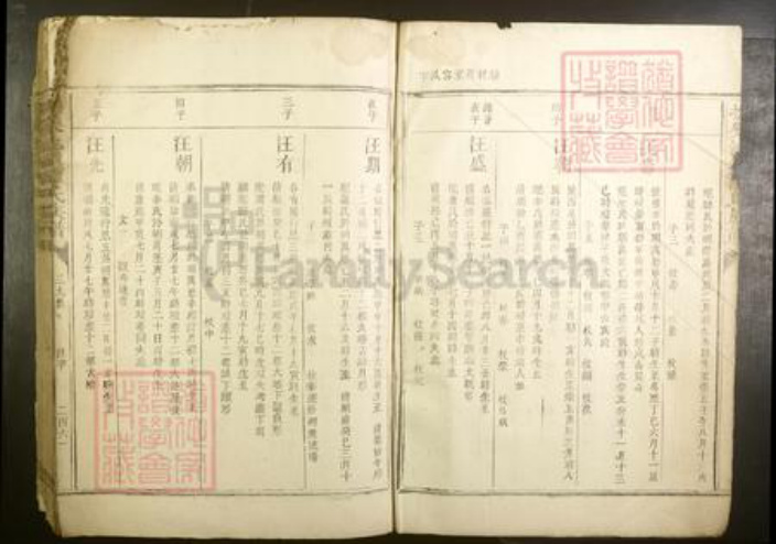 江西省抚州市谭氏族谱-抚乐池溪谭氏族谱.pdf电子版插图2