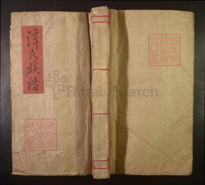 江西省赣州市谭氏族谱-赣邑谭氏重修族谱[不分卷].pdf电子版插图