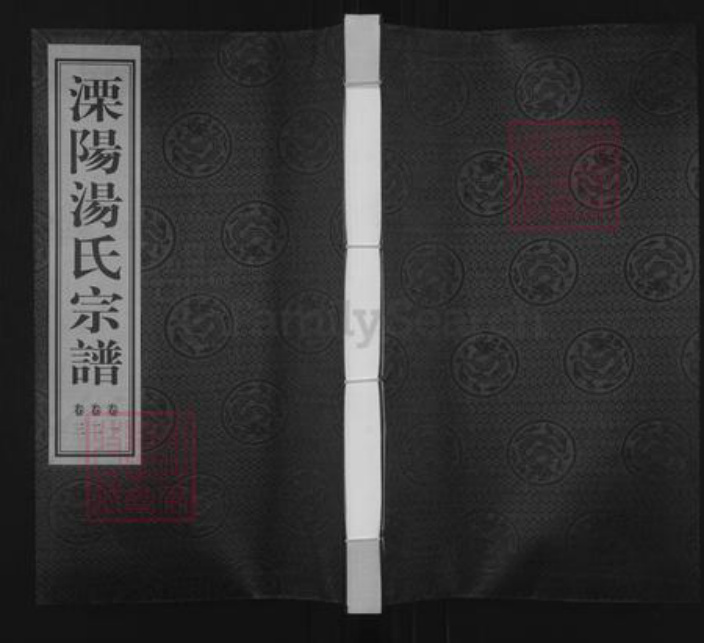江苏省常州市溧阳市汤氏崇本堂族谱-溧阳汤氏宗谱.pdf电子版插图