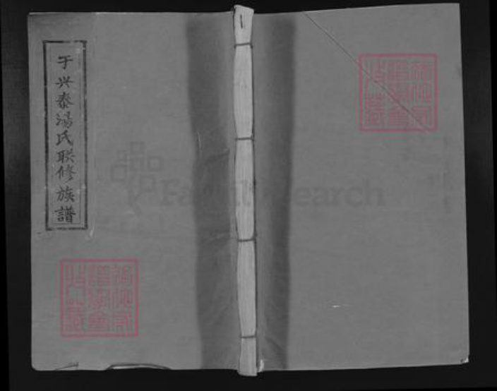 湖南省株洲市醴陵市醴陵汤氏中山堂族谱-于兴泰汤氏联修族谱.pdf电子版插图