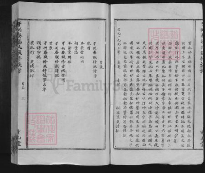 湖南省株洲市醴陵市醴陵汤氏中山堂族谱-于兴泰汤氏联修族谱.pdf电子版插图3
