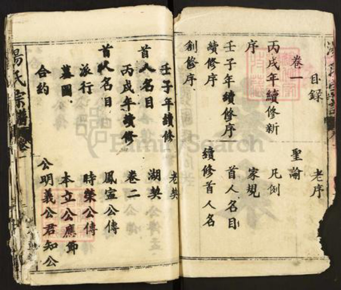 湖北省黄石市大冶市汤氏中山堂族谱-汤氏宗谱.pdf电子版插图2