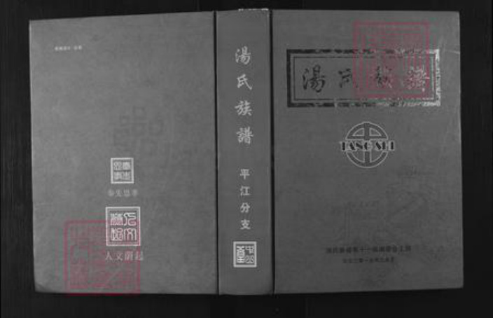 湖南省岳阳市平江县南江镇汤氏族谱-汤氏宗谱.平江分支.pdf电子版插图