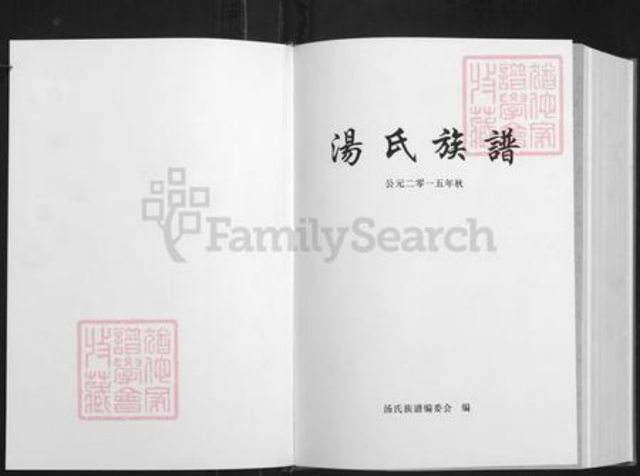 湖南省岳阳市平江县南江镇汤氏族谱-汤氏宗谱.平江分支.pdf电子版插图1