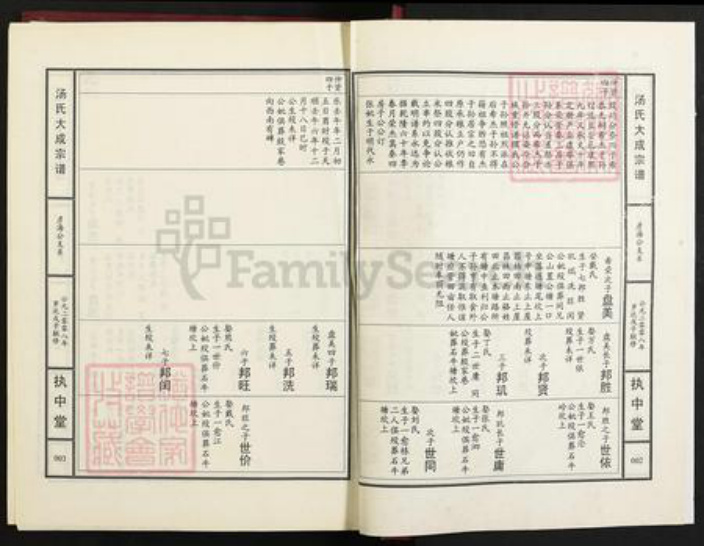 江西省九江市江西省九江市汤；汤氏执中堂族谱-汤氏大成宗谱.pdf电子版插图2