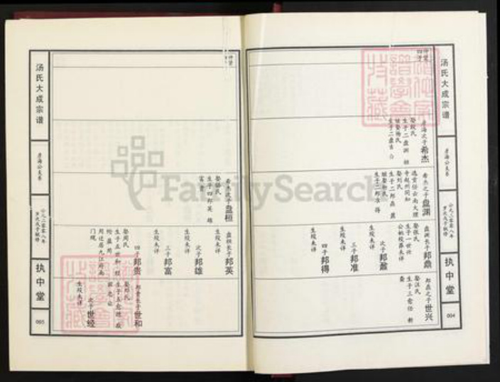 江西省九江市江西省九江市汤；汤氏执中堂族谱-汤氏大成宗谱.pdf电子版插图3