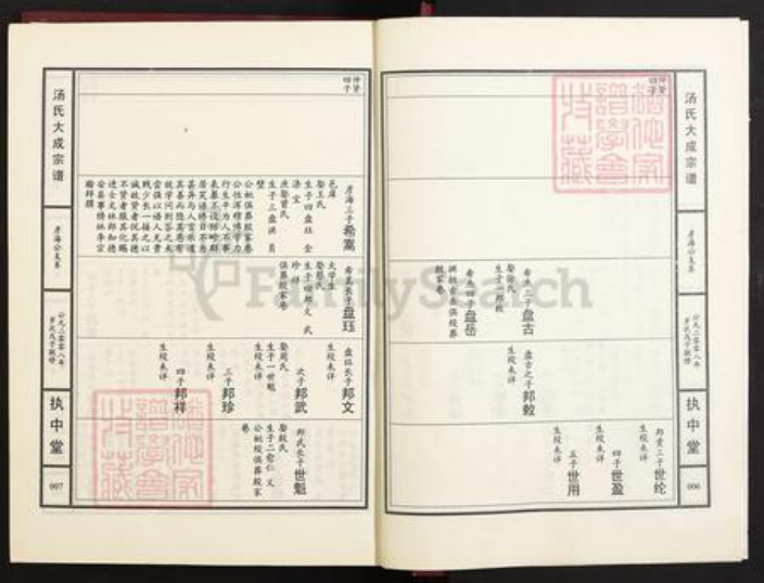 江西省九江市江西省九江市汤；汤氏执中堂族谱-汤氏大成宗谱.pdf电子版插图4