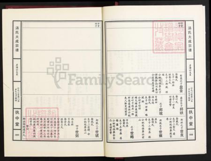 江西省九江市江西省九江市汤；汤氏执中堂族谱-汤氏大成宗谱.pdf电子版插图5