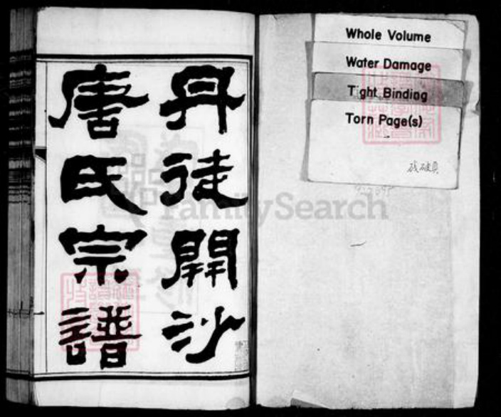 江苏省镇江市唐氏族谱-丹徒开沙唐氏宗谱 [12卷].pdf电子版插图1