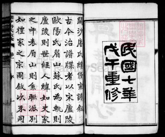 江苏省镇江市唐氏族谱-丹徒开沙唐氏宗谱 [12卷].pdf电子版插图2