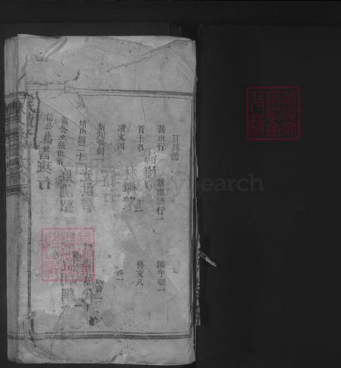 湖南省衡阳市唐氏族谱-唐氏续修族谱 [不分卷].pdf电子版插图1