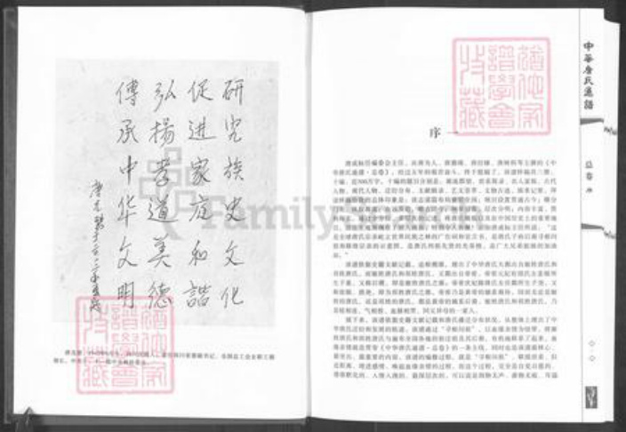 甘肃省白银靖远唐氏族谱-中华唐氏通谱.pdf电子版插图5