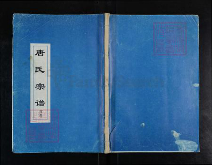 湖北省武汉市唐氏族谱-唐氏宗谱.pdf电子版插图 湖北省武汉市唐氏族谱-唐氏宗谱.pdf电子版插图