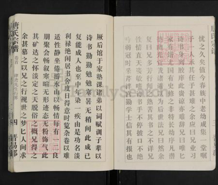 湖北省武汉市唐氏族谱-唐氏宗谱.pdf电子版插图5 湖北省武汉市唐氏族谱-唐氏宗谱.pdf电子版插图5