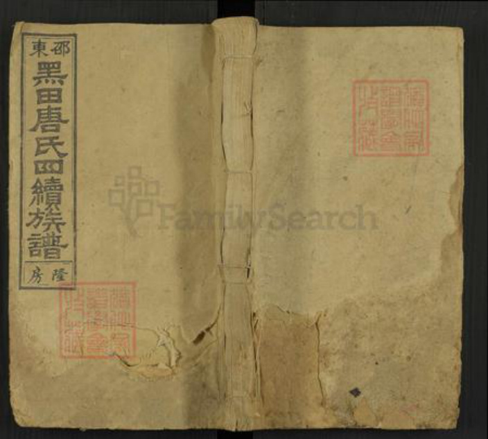 湖南省邵阳市邵东唐氏敦睦堂族谱-邵东黑田唐氏四续族谱.pdf电子版插图