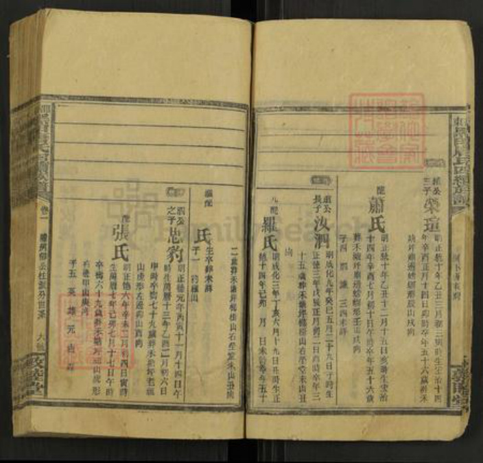 湖南省邵阳市邵东唐氏敦睦堂族谱-邵东黑田唐氏四续族谱.pdf电子版插图5