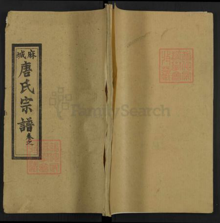 湖北省黄冈市麻城市唐氏亲睦堂族谱-麻城唐氏宗谱.pdf电子版插图