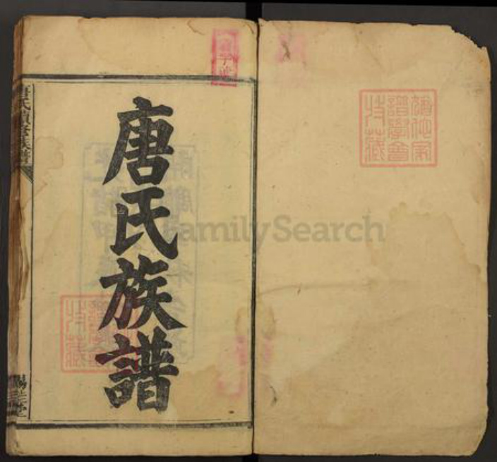 湖南省邵阳市唐氏锡珪堂族谱-唐氏续修族谱.pdf电子版插图1