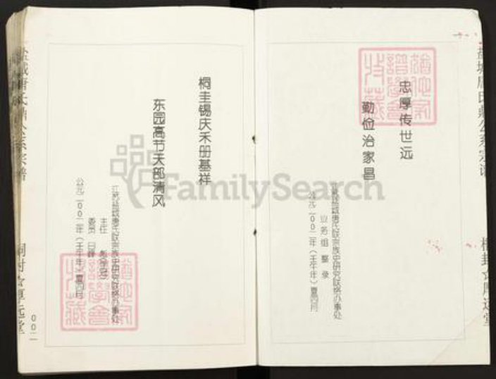 江苏省盐城市亭湖区唐氏厚远堂族谱-盐城唐氏鼎公系宗谱.pdf电子版插图2