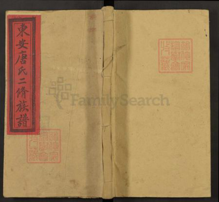 湖南省永州市东安县唐氏族谱-东安唐氏二修族谱.pdf电子版插图
