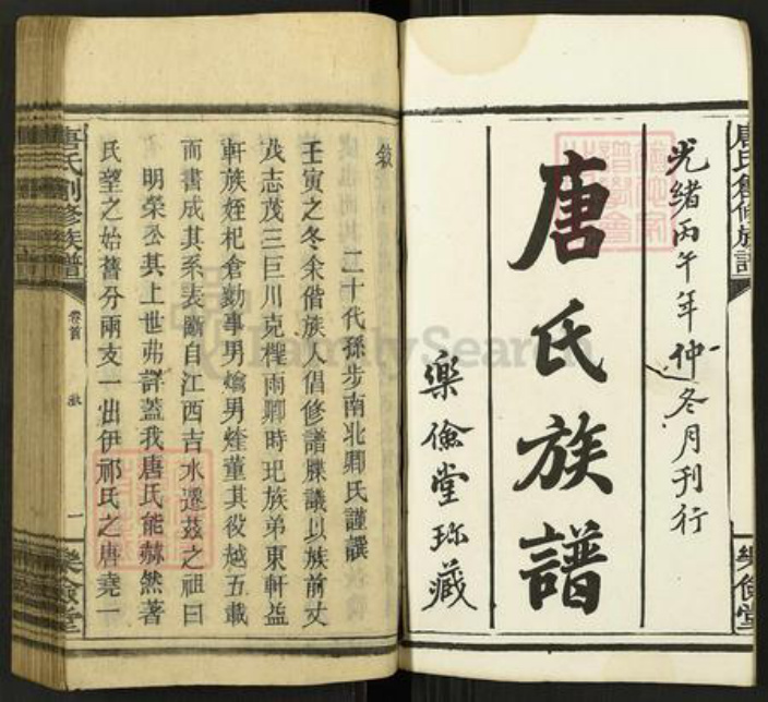 湖南省永州市祁阳县文明镇唐氏乐俭堂族谱-唐氏创修族谱.pdf电子版插图2
