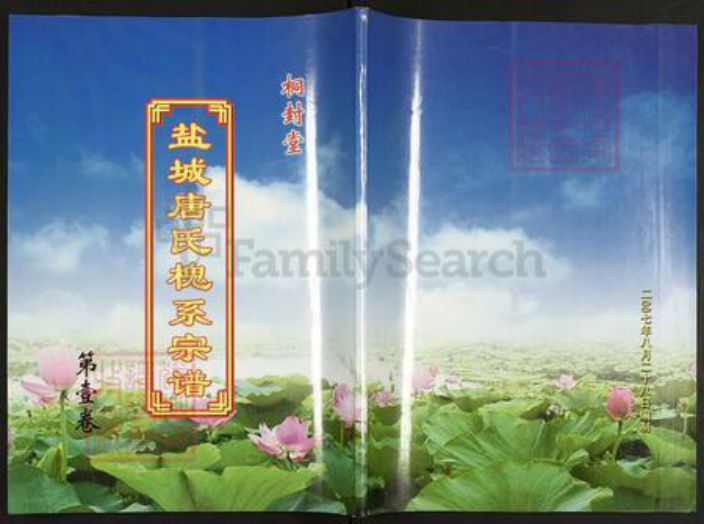 江苏省扬州市宝应县唐氏桐封堂族谱-盐城唐氏落潮槐系宗谱.pdf电子版插图