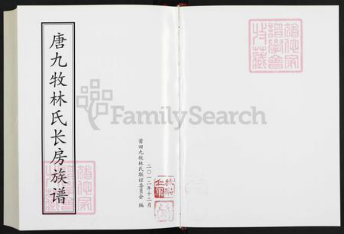 福建省泉州市洛江区唐氏族谱-唐九牧林氏长房族谱.pdf电子版插图1