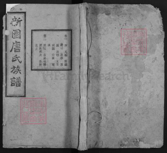 湖南省湘潭市湘乡市东郊乡唐氏伦鉴堂族谱-新园唐氏八修族谱.pdf电子版插图