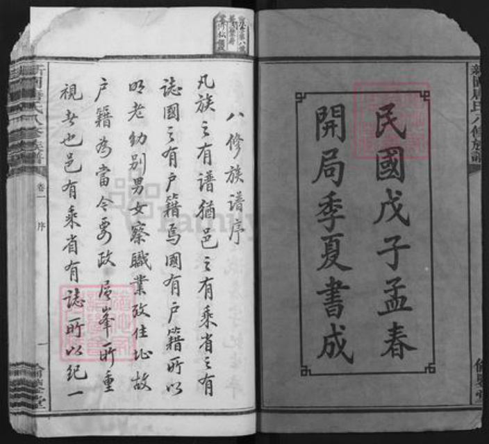 湖南省湘潭市湘乡市东郊乡唐氏伦鉴堂族谱-新园唐氏八修族谱.pdf电子版插图2
