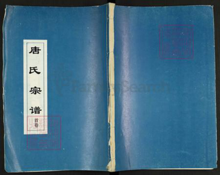 湖北省黄冈市麻城市唐氏族谱-唐氏宗谱.pdf电子版插图