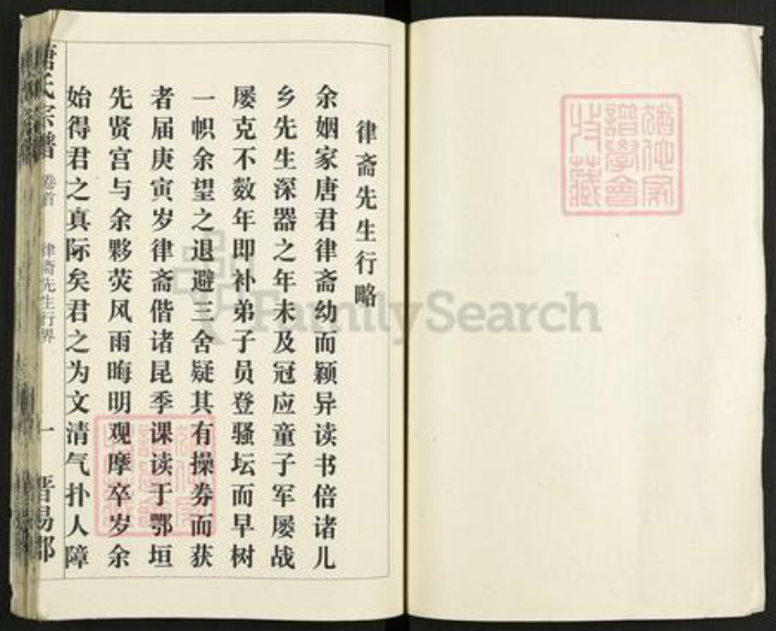 湖北省黄冈市麻城市唐氏族谱-唐氏宗谱.pdf电子版插图2