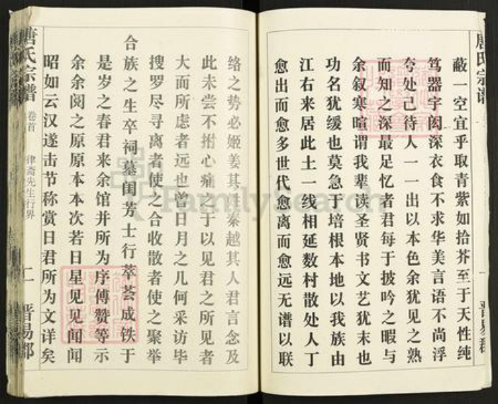 湖北省黄冈市麻城市唐氏族谱-唐氏宗谱.pdf电子版插图3