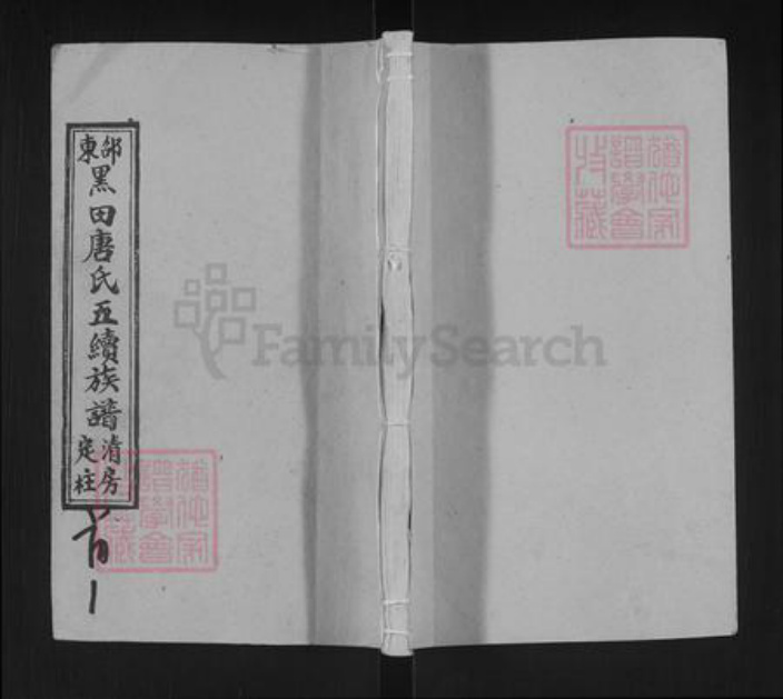 湖南省邵阳市邵东唐氏敦睦堂族谱-邵东黑田唐氏五续族谱.清房定柱.pdf电子版插图