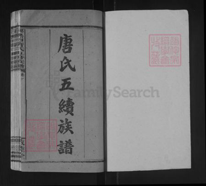 湖南省邵阳市邵东唐氏敦睦堂族谱-邵东黑田唐氏五续族谱.清房定柱.pdf电子版插图1