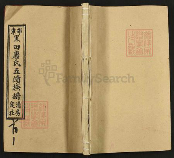 湖南省邵阳市邵东唐氏敦睦堂族谱-绍东黑田唐氏五修族谱.pdf电子版插图