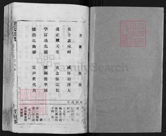 安徽省安庆市宿松县唐氏族谱-唐氏宗谱.pdf电子版插图1
