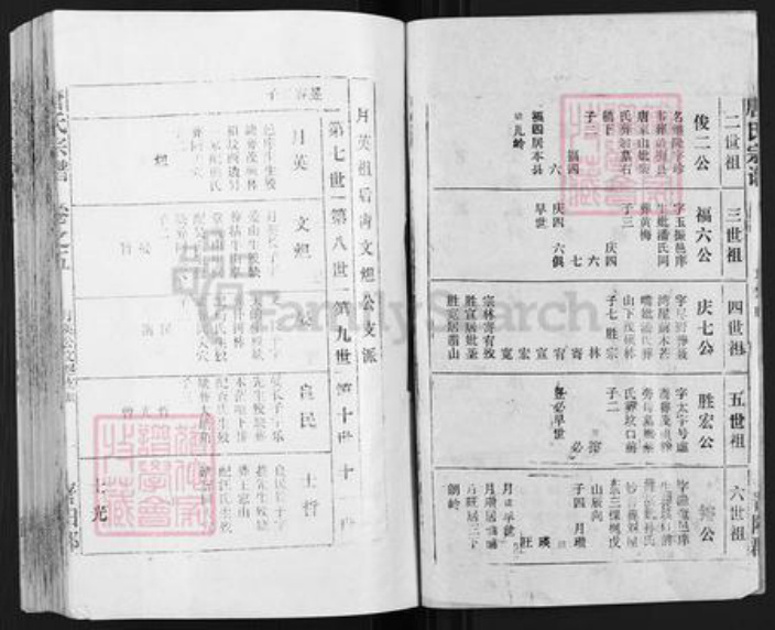 安徽省安庆市宿松县唐氏族谱-唐氏宗谱.pdf电子版插图2