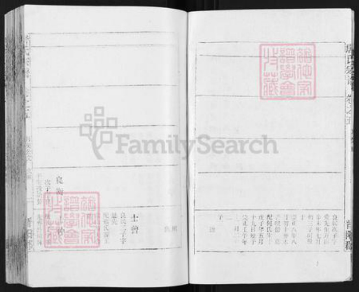 安徽省安庆市宿松县唐氏族谱-唐氏宗谱.pdf电子版插图3