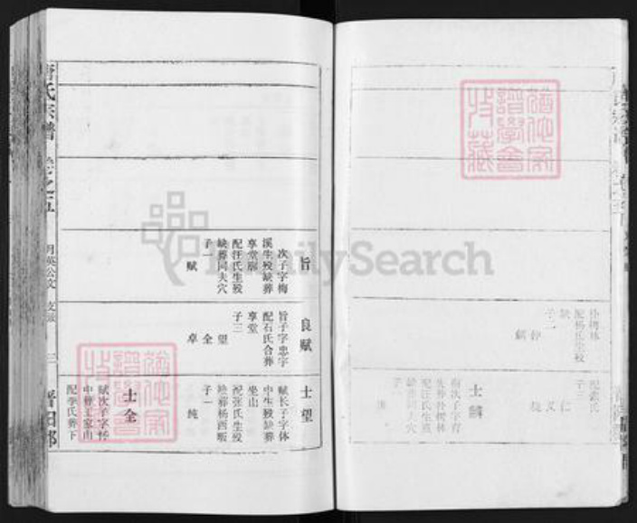 安徽省安庆市宿松县唐氏族谱-唐氏宗谱.pdf电子版插图4
