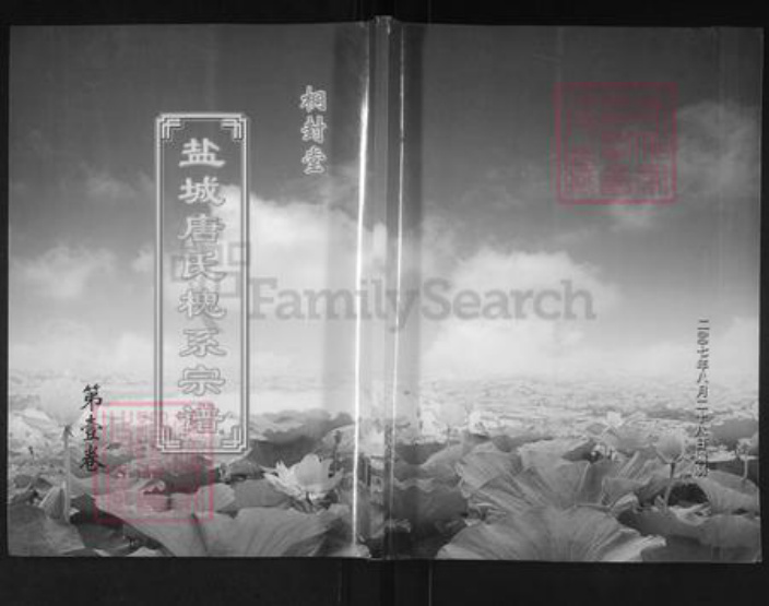 江苏省扬州市宝应县唐氏桐对堂族谱-盐城唐氏槐系宗谱.pdf电子版插图
