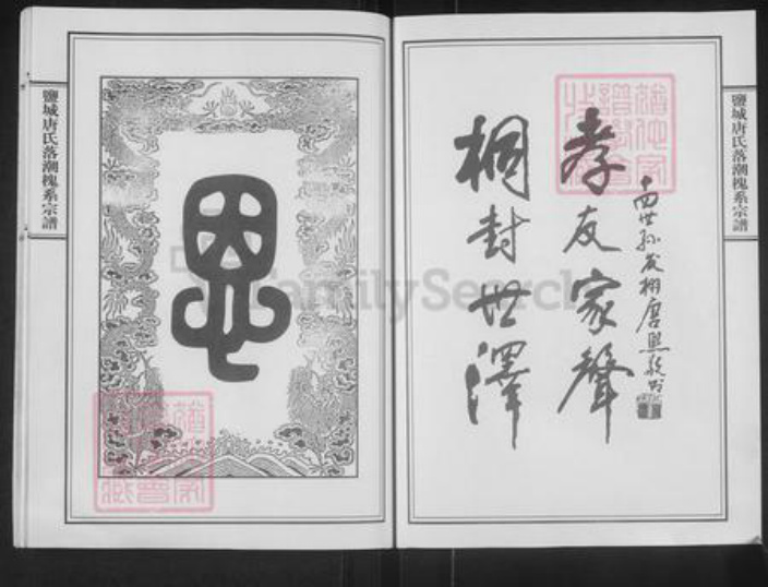 江苏省扬州市宝应县唐氏桐对堂族谱-盐城唐氏槐系宗谱.pdf电子版插图2