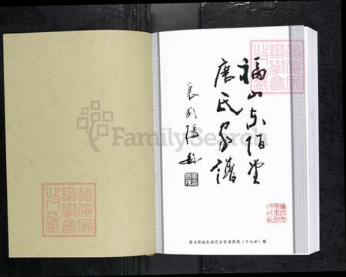 山东省烟台市唐氏族谱-福山东陌堂唐氏家谱.pdf电子版插图1