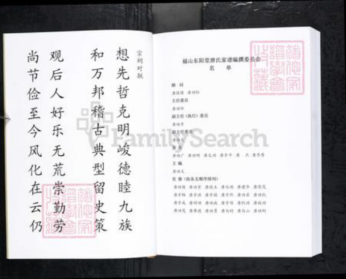 山东省烟台市唐氏族谱-福山东陌堂唐氏家谱.pdf电子版插图2