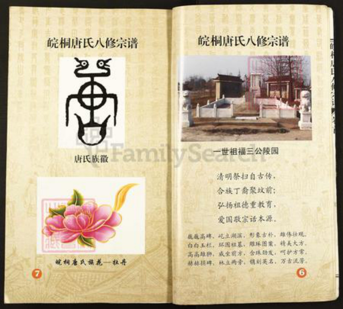安徽省安庆市桐城市唐氏族谱-皖桐唐氏八修宗谱.pdf电子版插图5