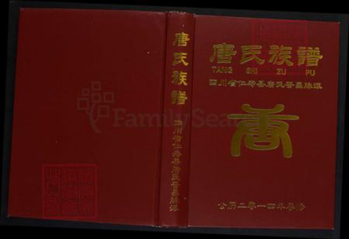 四川省眉山市仁寿县唐氏晋昌堂族谱-唐氏族谱.四川省仁寿县唐氏晋昌脉派.pdf电子版插图
