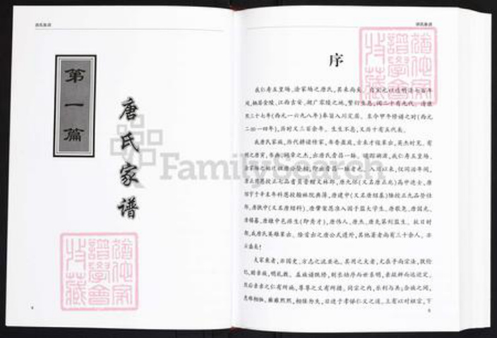 四川省眉山市仁寿县唐氏晋昌堂族谱-唐氏族谱.四川省仁寿县唐氏晋昌脉派.pdf电子版插图1