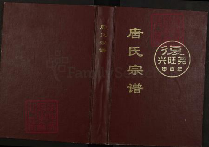 四川省遂宁市船山区唐氏族谱-唐氏宗谱.pdf电子版插图