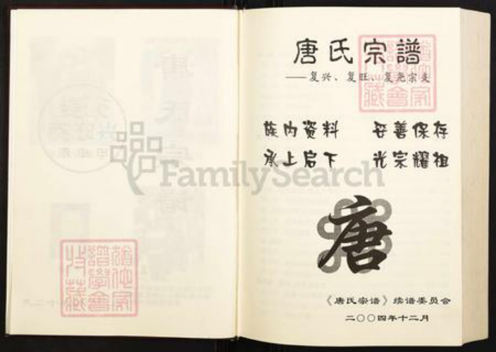 四川省遂宁市船山区唐氏族谱-唐氏宗谱.pdf电子版插图2